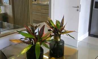 Imagem 6: Grande Lançamento 3 quartos na Barra Bonita ao Lado do Recreio Sopping