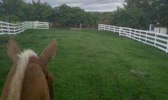 Imagem 3: Fazenda 63 alq , Uruana,GO