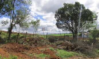 Imagem 3: PORTãO - Terreno Padrão - Boa Vista