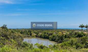 Imagem 6: Terreno em Coroa Vermelha - Santa Cruz Cabrália, BA