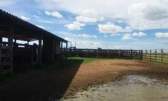 Imagem 6: Fazenda para Venda em Nova Crixás