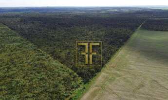 Imagem 2: Fazenda 132,5 Alqueires, Palmas, TO