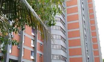 Imagem 3: EXCELENTE APARTAMENTO - CONDOMÍNIO TIJOLINHO - ANDARAÍ - R.J