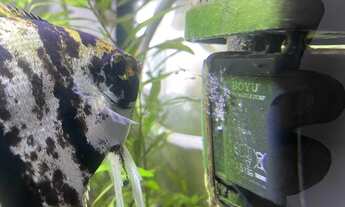 Imagem 6: 2 Dormt. c/ Varanda