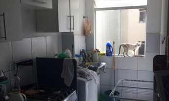 Imagem 7: Apartamento em Franco da Rocha