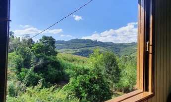 Imagem 4: Área de terra com 14,8 hectares, com casa ampla, sendo 1,59 hectares de videiras