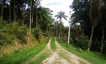 Imagem 4: PALHOçA - Terreno Padrão - Alto do Aririu