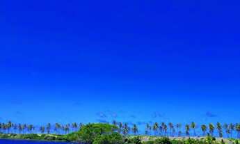 Imagem 2: Terreno 500 mts2 - Reserva Sauipe