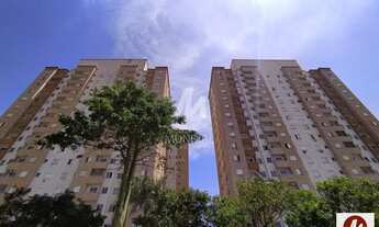 Imagem: Apartamento (tipo - padrao) 2 dormitórios