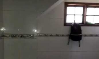 Imagem 4: Aluguel casa Casa com 2 dormitórios