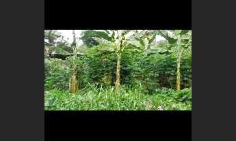 Imagem 4: Sitiio Urbano de Área Plana mais Lotes com Vista Panorâmica e Poço Artesiano de Água Doce