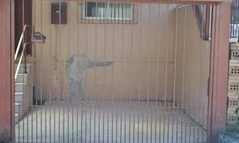 Imagem 4: Amplo Sobrado no Bairro Reolon - Somente Venda