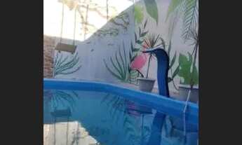 Imagem 2: Casa localizada Aluízio Campos