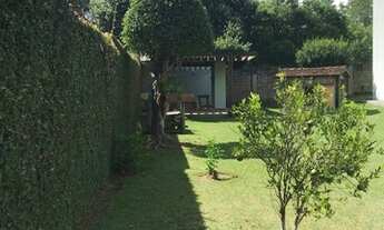 Imagem 3: Para ver o dia nascer feliz