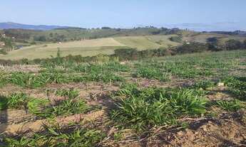 Imagem 4: Lote/Terreno para venda possui 500 metros quadrados em Centro - São Paulo - SP