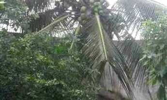 Imagem 4: CASA A VENDA EM LAGOA SALGADA RN