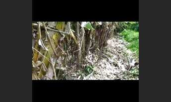 Imagem 5: Sitiio Urbano de Área Plana mais Lotes com Vista Panorâmica e Poço Artesiano de Água Doce