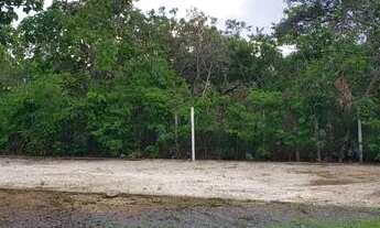 Imagem 2: Sitio 2.500 m² com piscina, em um loteamento com portão eletrônico, Jaboticatubas