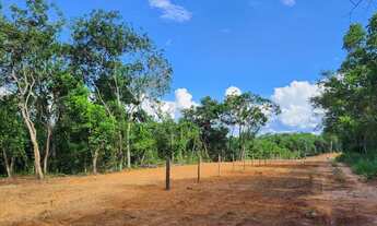 Imagem 6: Chacara fundo para o rio Aquidauana