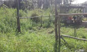 Imagem 6: Casa 30 metros quadrados