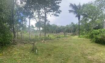 Imagem 3: Troco terreno/sitio/chácara na AM 010 km 52