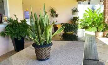 Imagem 2: Vendo Pousada Terreno / lote com venda por R$450.000