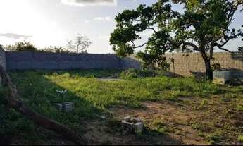 Imagem 4: Mini Sítio Próximo a Matinha / Área Bem Ampla