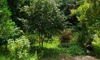 Imagem 7: Casa para venda possui 63 metros quadrados com 2 quartos em Araçatuba - Imbituba - SC