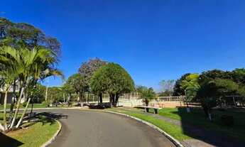 Imagem: Londrina - Apartamento Padrão - Cambezinho