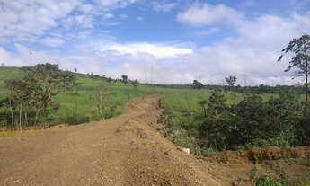 Imagem 4: Chácara de 20.000 metros quadrados Área Rural do Gama - ponte alta - região de santo anton