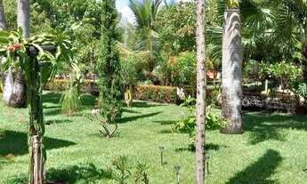 Imagem 2: Chácara para venda tem 580 metros quadrados com 3 quartos em Mosquito -