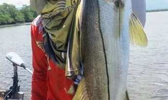 Imagem: Chácara frente Rio Palmital Garuva.Sc