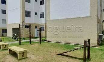 Imagem 7: Apartamento para venda tem 42 metros quadrados com 2 quartos em Tejipió - Recife - PE