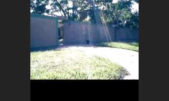 Imagem 2: Sítio 4200m², planotodo murado