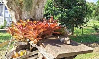 Imagem 6: Lindo Terreno Terreno / lote com venda por R$120.000