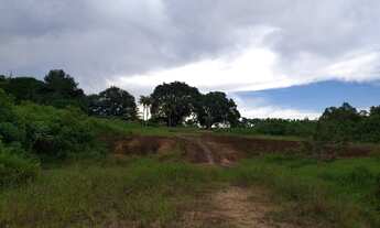 Imagem 2: Fazenda Bela Vista a venda tem 1500 Hectares em Zona Rural - Rio Preto da Eva - AM
