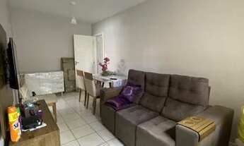 Imagem 2: Parque das Violetas !