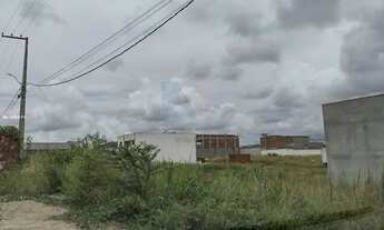 Imagem 7: Lote para Venda em Vitória de Santo Antão, Matriz