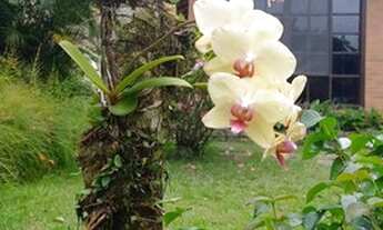 Imagem 2: Vendo Casa Condomínio Solar de Itacuruçá