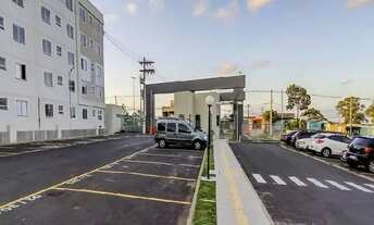 Imagem 4: ALUGO OU VENDO APARTAMENTO 2 DORM