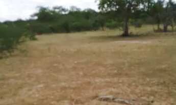 Imagem 3: Excelente oportunidade de comprar uma fazenda às margens do rio Jacuipe com 136t