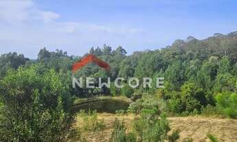 Imagem 5: Chácara em Santa Lúcia do Piaí (caxias do Sul) - Centro - Caxias do Sul/RS