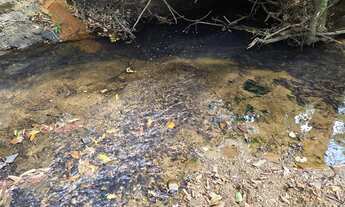 Imagem: Chácara de 2.000mt com corrego em crominia