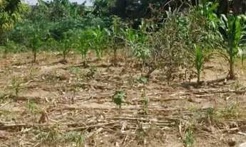 Imagem 4: Venda: Terreno No Bairro Jd. Majestic Na Reg. Leste De s.j.c