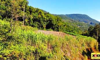 Imagem: Sítio / Chácara para Venda em Nova Petrópolis