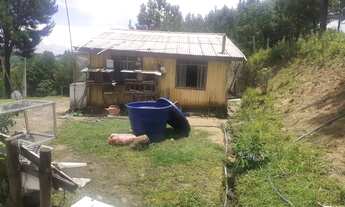 Imagem 5: Chácara a venda