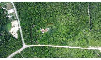 Imagem 6: Terreno à Venda Ramal Cláudio Mesquita (KM 3 da BR-174