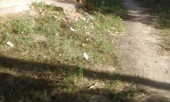 Imagem 7: Um terreno com uma casa com documento frente para a pista 12 de largura e 41 complimento