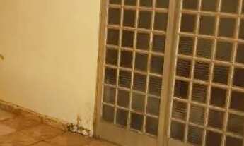 Imagem 14: Vendo , troco casa com ótima localização