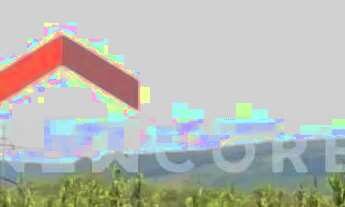 Imagem 4: Sítio em Est Padilha - Padilha - Padilha/RS